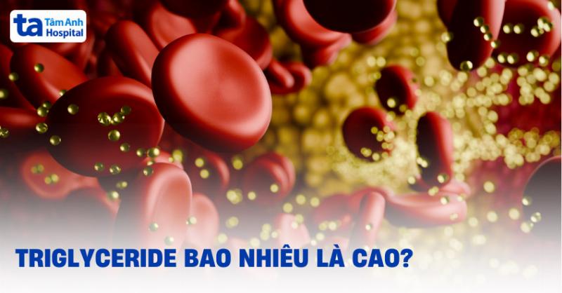 Giam chi so triglycerides nho che do dinh duong can bang va luyen tap the duc the thao deu dan